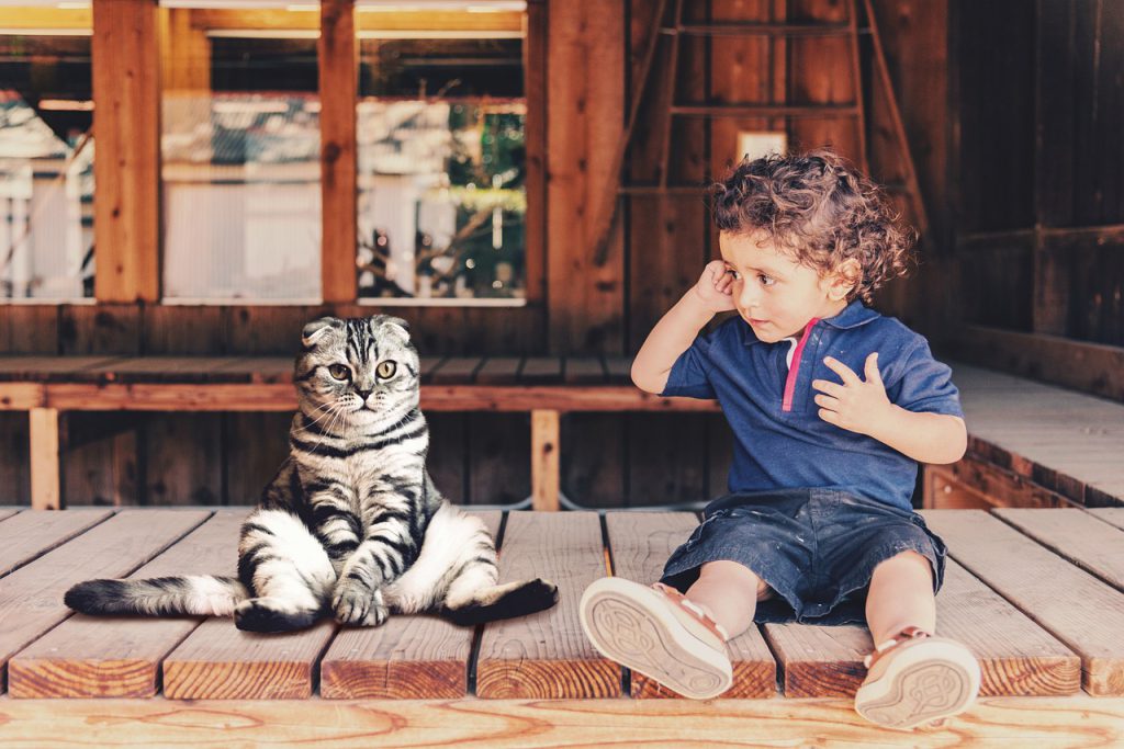 Kot i dziecko – wpływ zwierząt na rozwój emocjonalny u dzieci