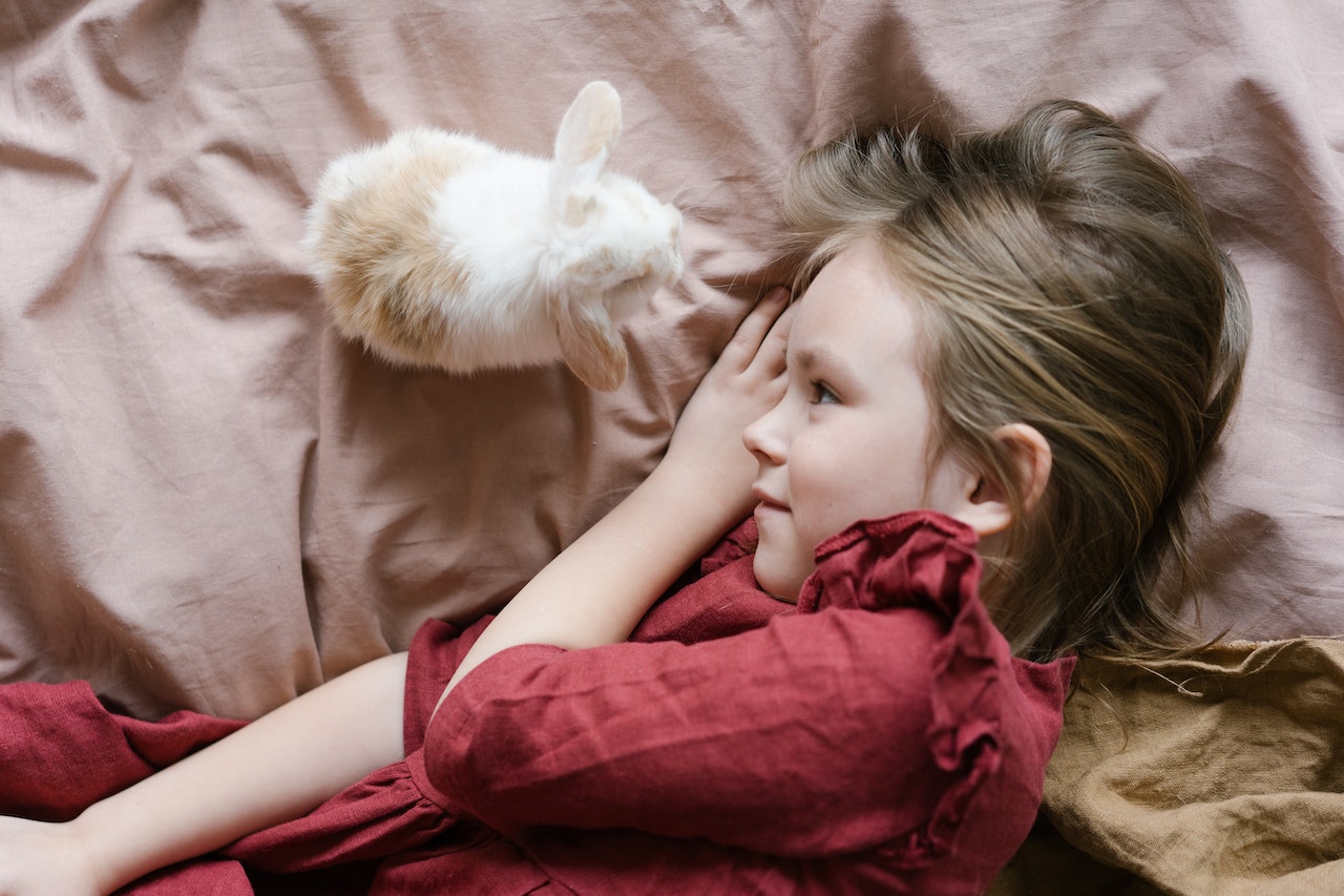 Zwierzątka dla dzieci  – jak wybrać zwierzęta dla maluchów